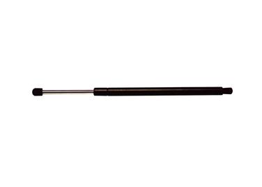 Tailgate Lift Support Z1 4601