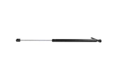 Tailgate Lift Support Z1 4869R