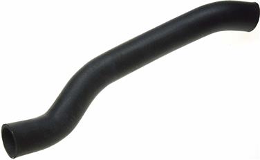 Radiator Coolant Hose ZO 22244