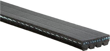 Serpentine Belt ZO K040310