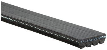 Serpentine Belt ZO K040315SF