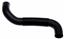 Radiator Coolant Hose ZO 23618