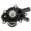 Engine Coolant Thermostat ZO 34833