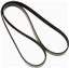 Serpentine Belt ZO K060557