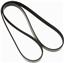 2011 Volkswagen Amarok Serpentine Belt ZO K060612