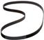 Engine Balance Shaft Belt ZO T168