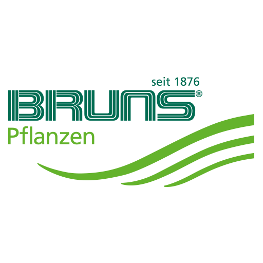 BRUNS online