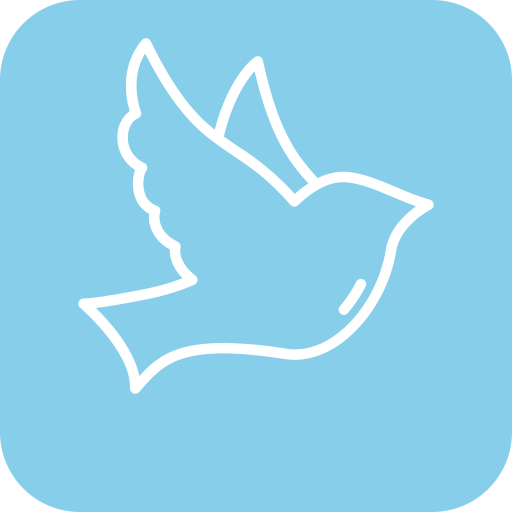 Small Wings VPN