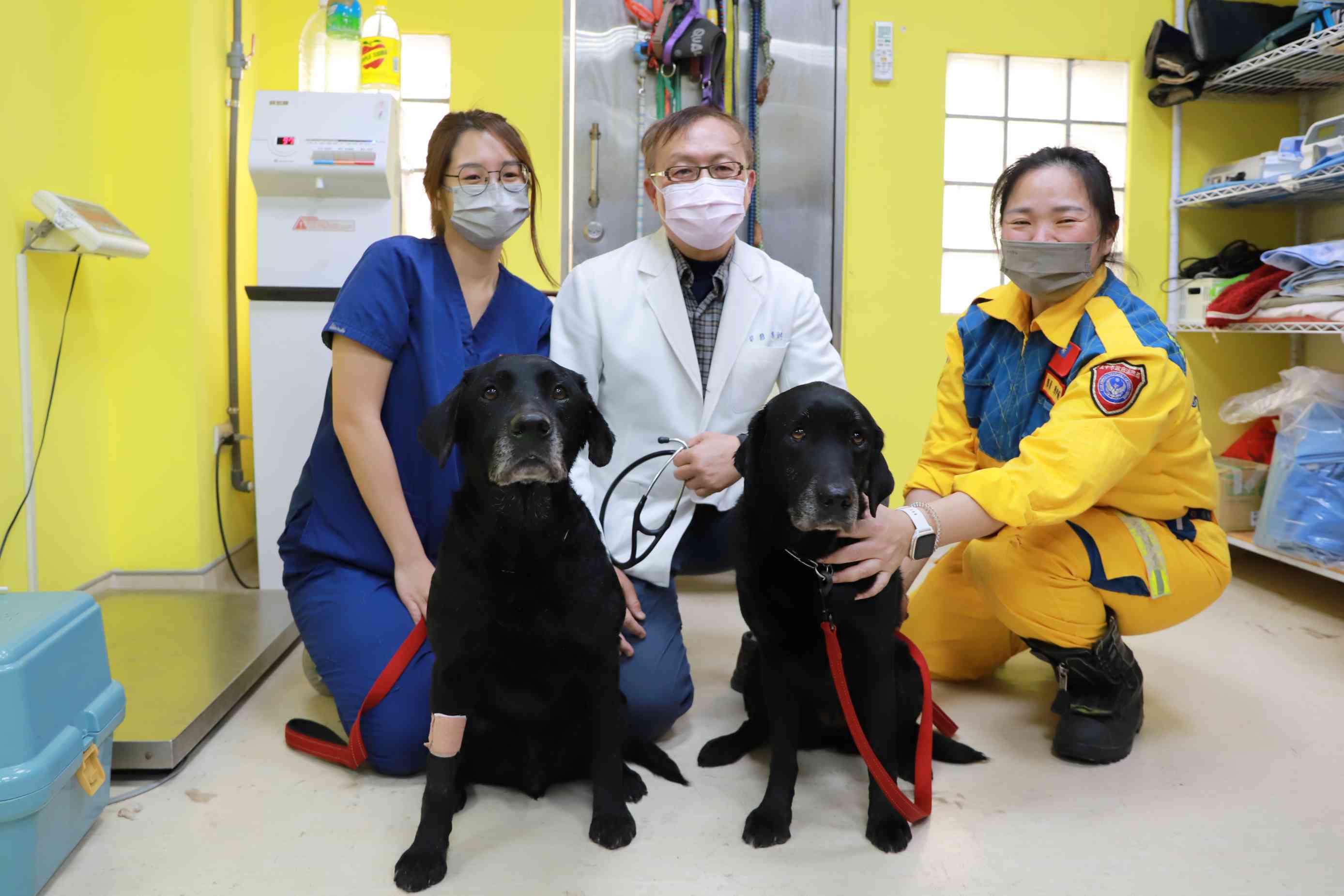 中市搜救犬救災返國 中興大學獸醫協助健檢