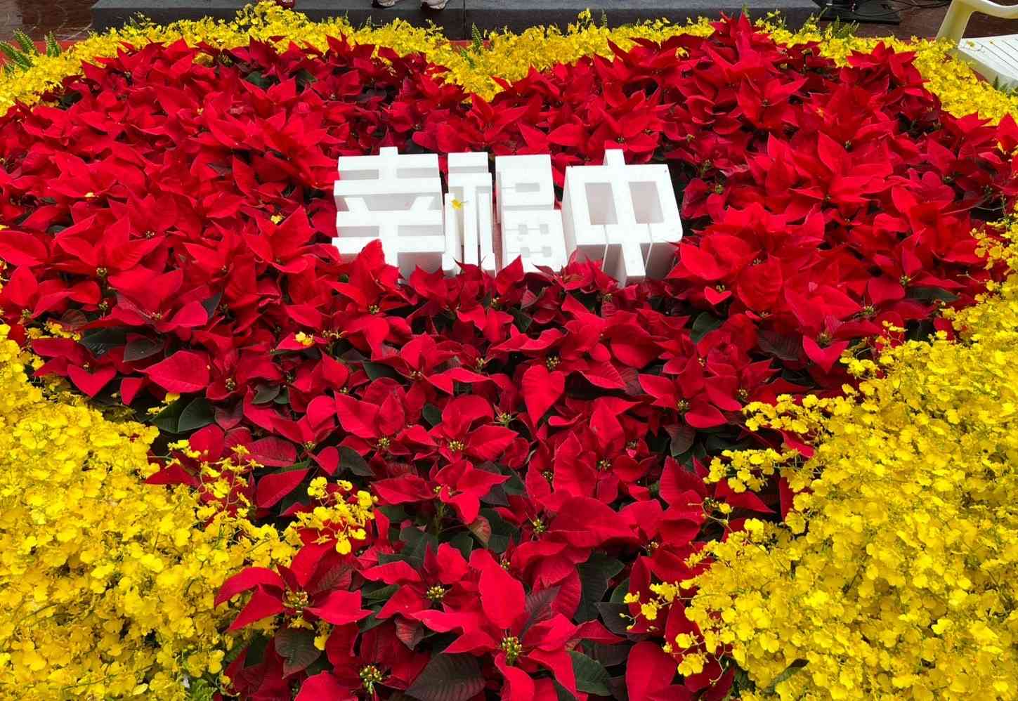 台中國際花毯節華麗登場 上千民眾湧新社賞花