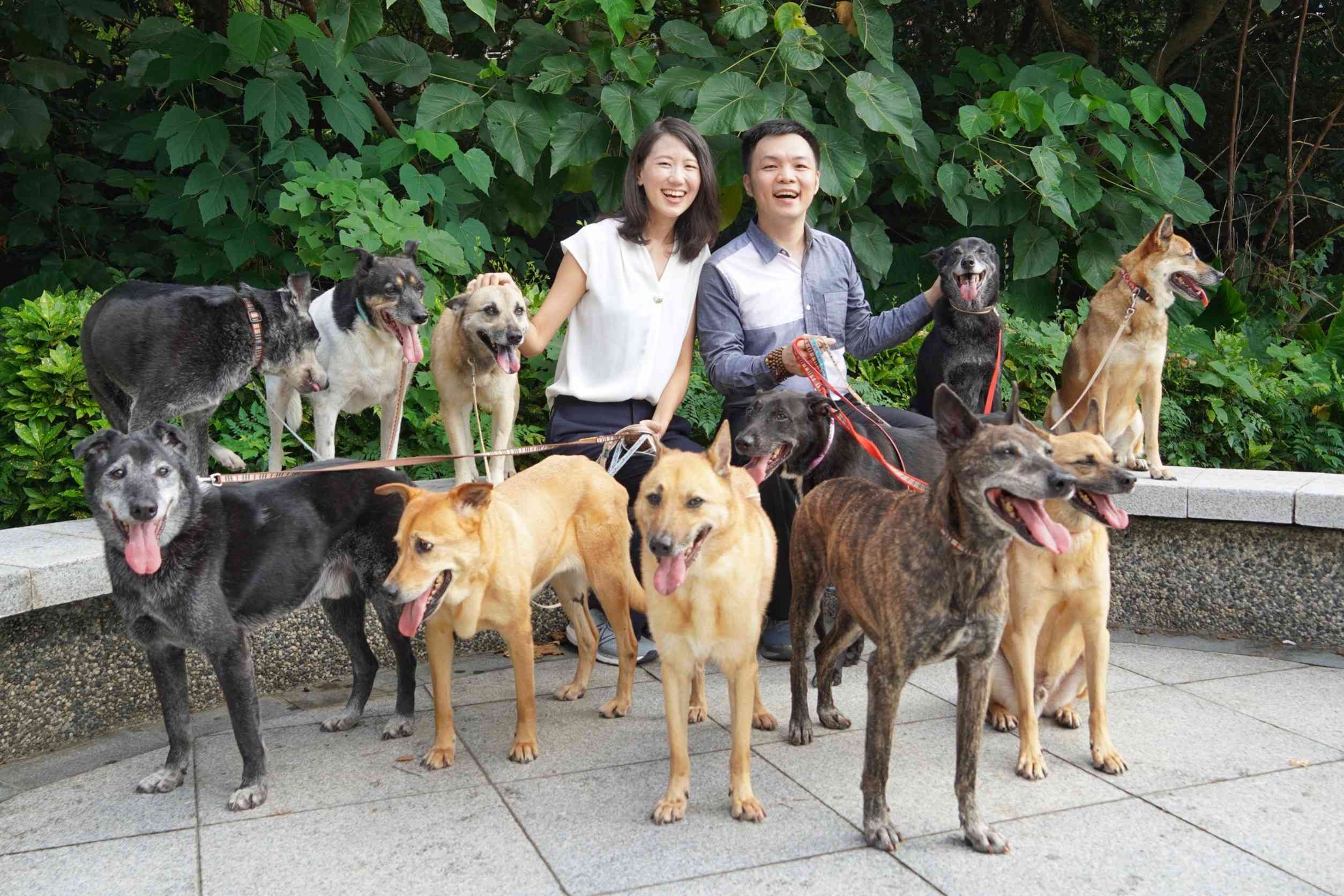 為動物和市民發聲 台灣動物保護黨推夫妻共同參選