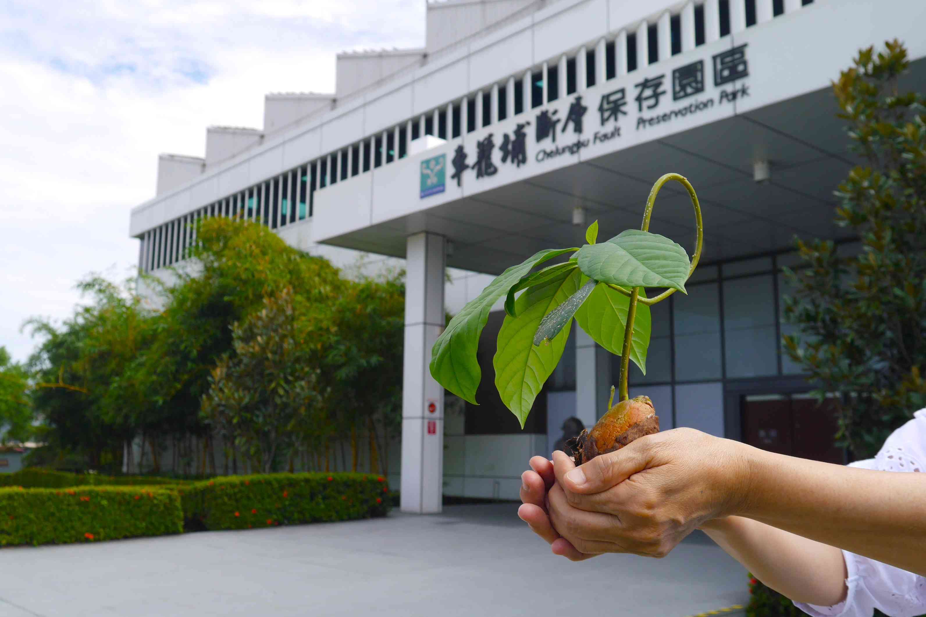 新聞圖片