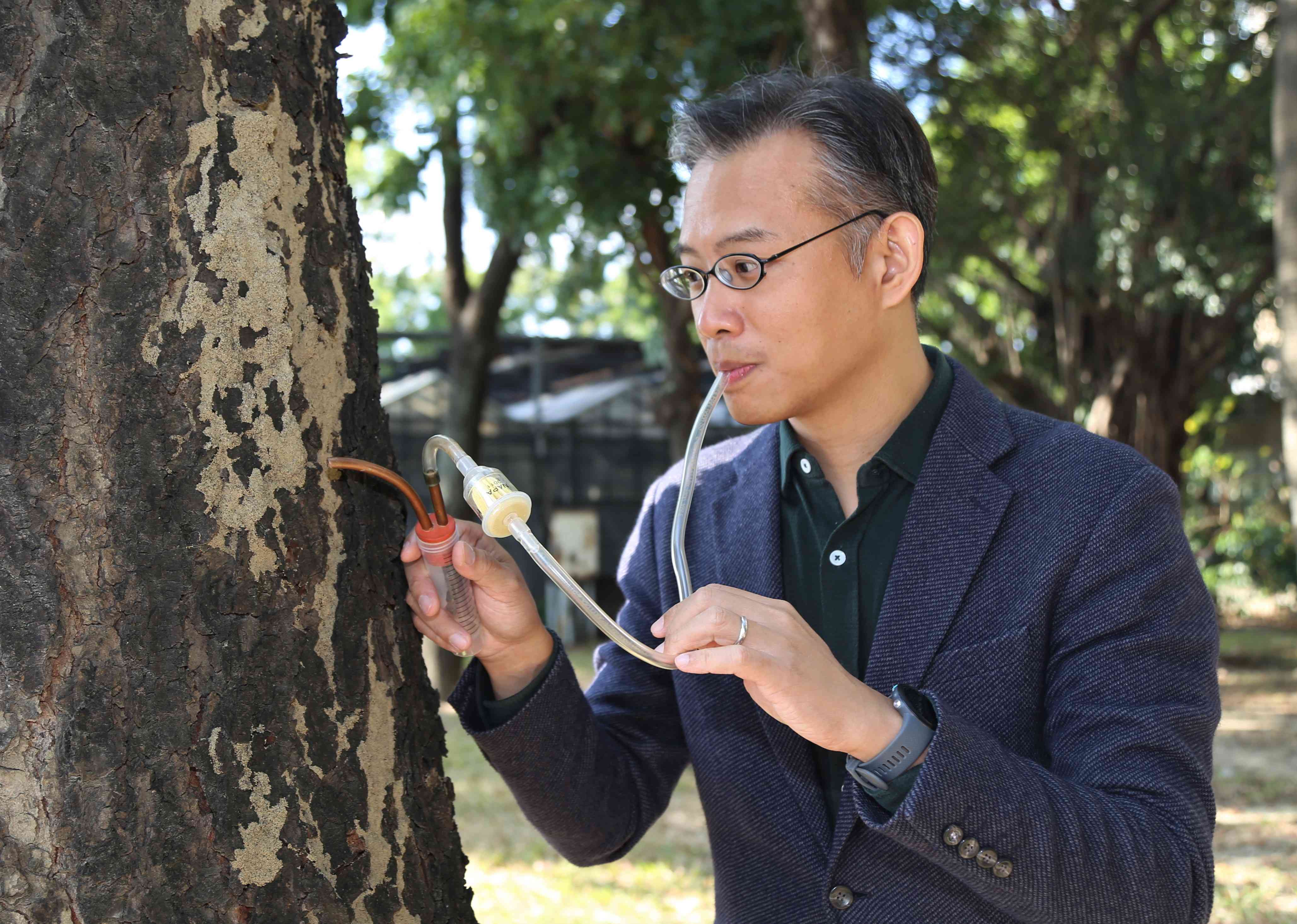 中興大學破解蟻巢堅固謎團 白蟻「便便」神助攻