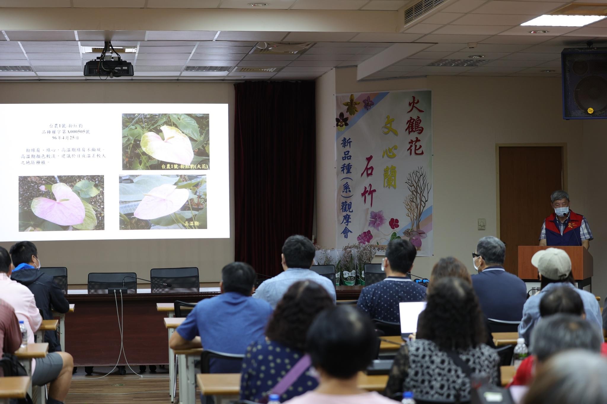 台灣花卉國際爭妍 文心蘭及火鶴花新品種觀摩會