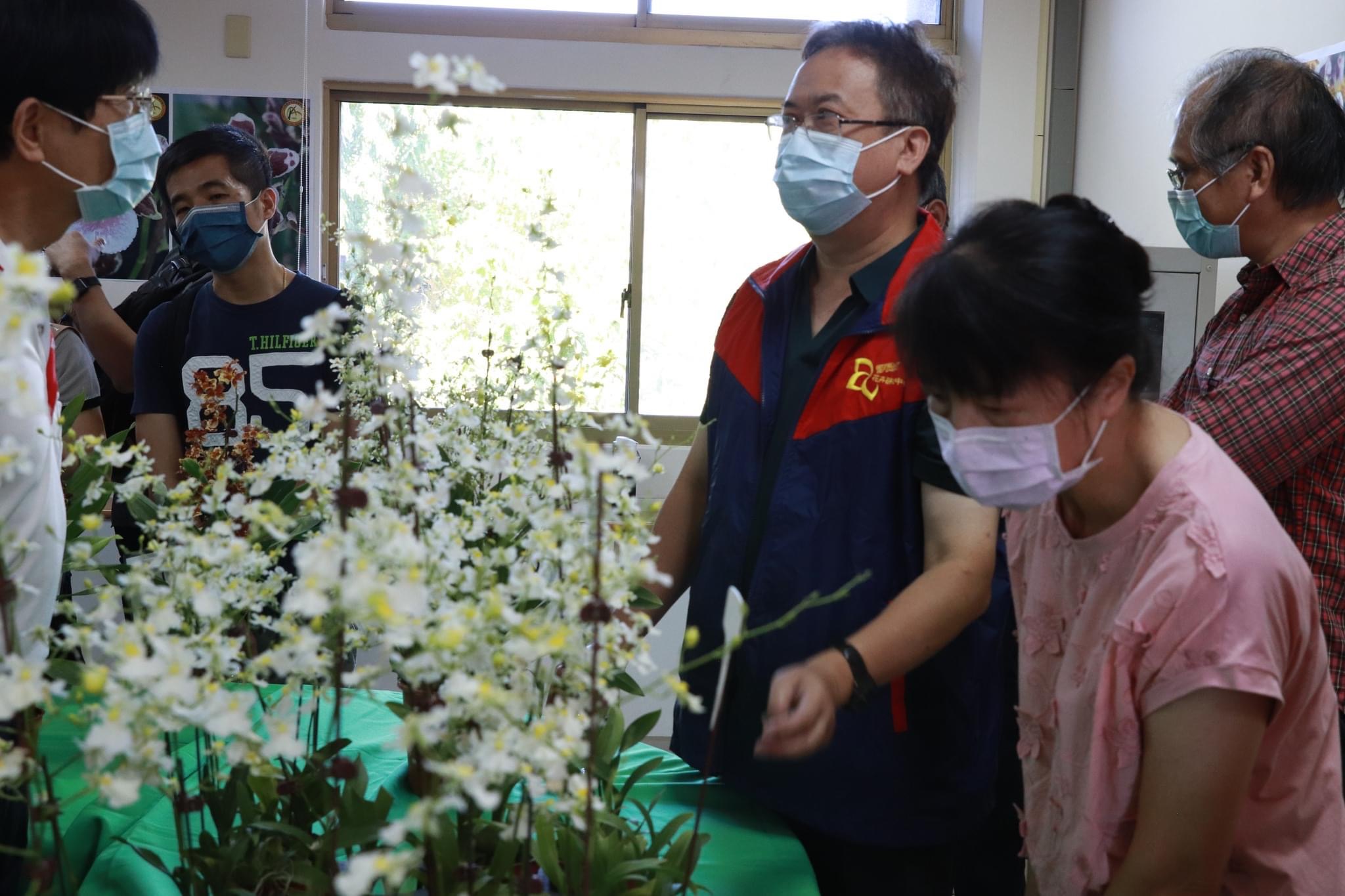 台灣花卉國際爭妍 文心蘭及火鶴花新品種觀摩會