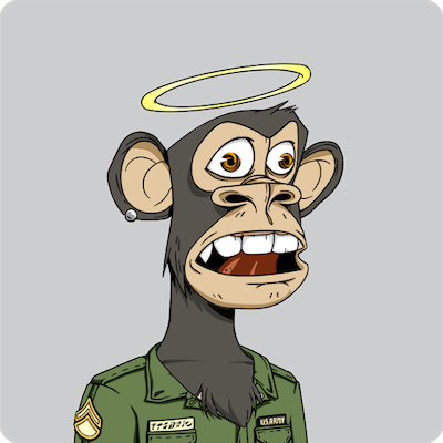 A Bored Ape with a halo and a military uniform.