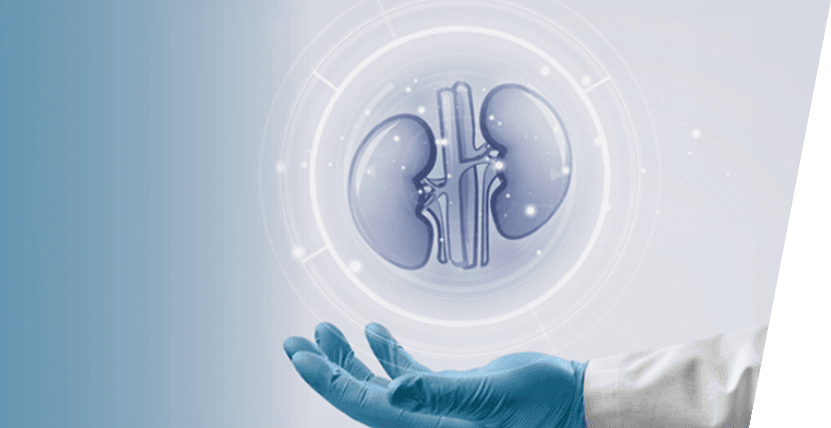  How To Maintain Health of Your Kidney?