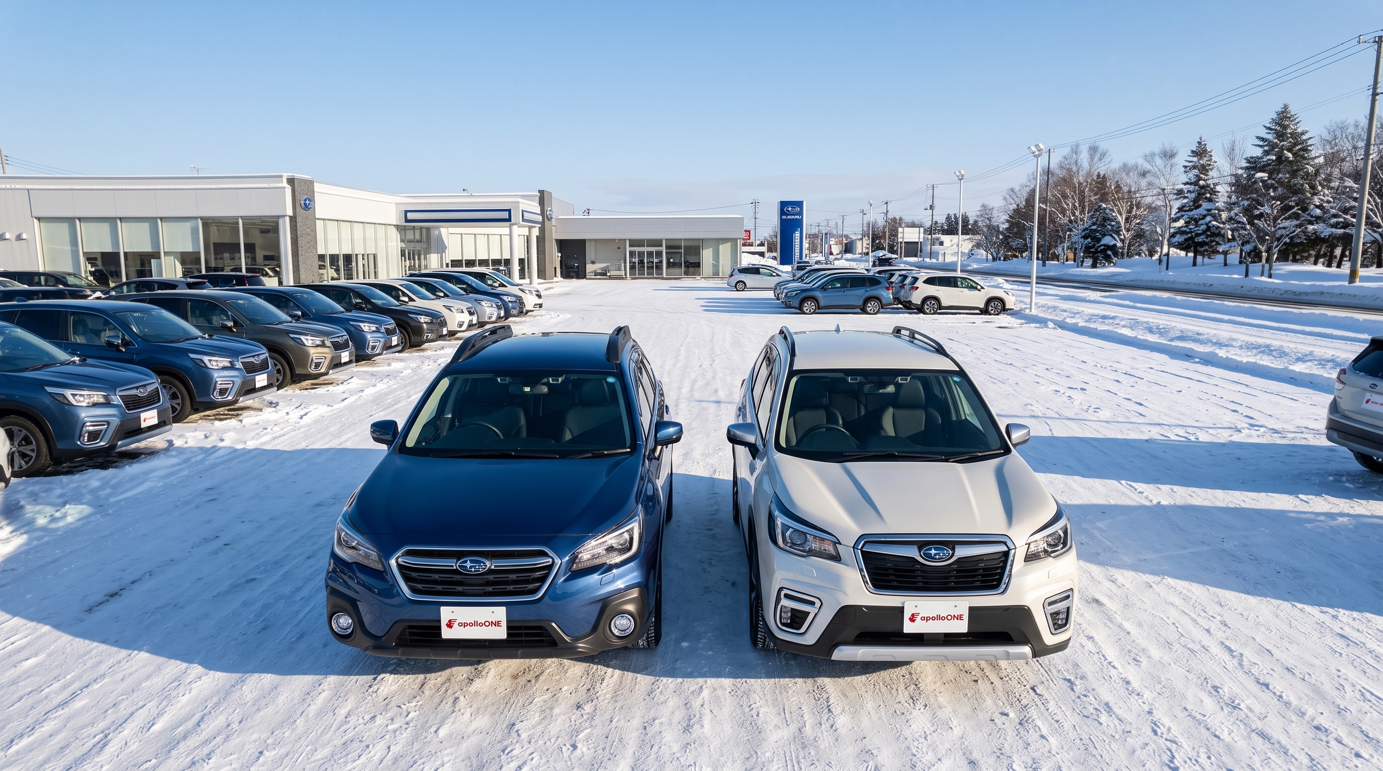 新車 vs 中古 スバル車の総コスト比較