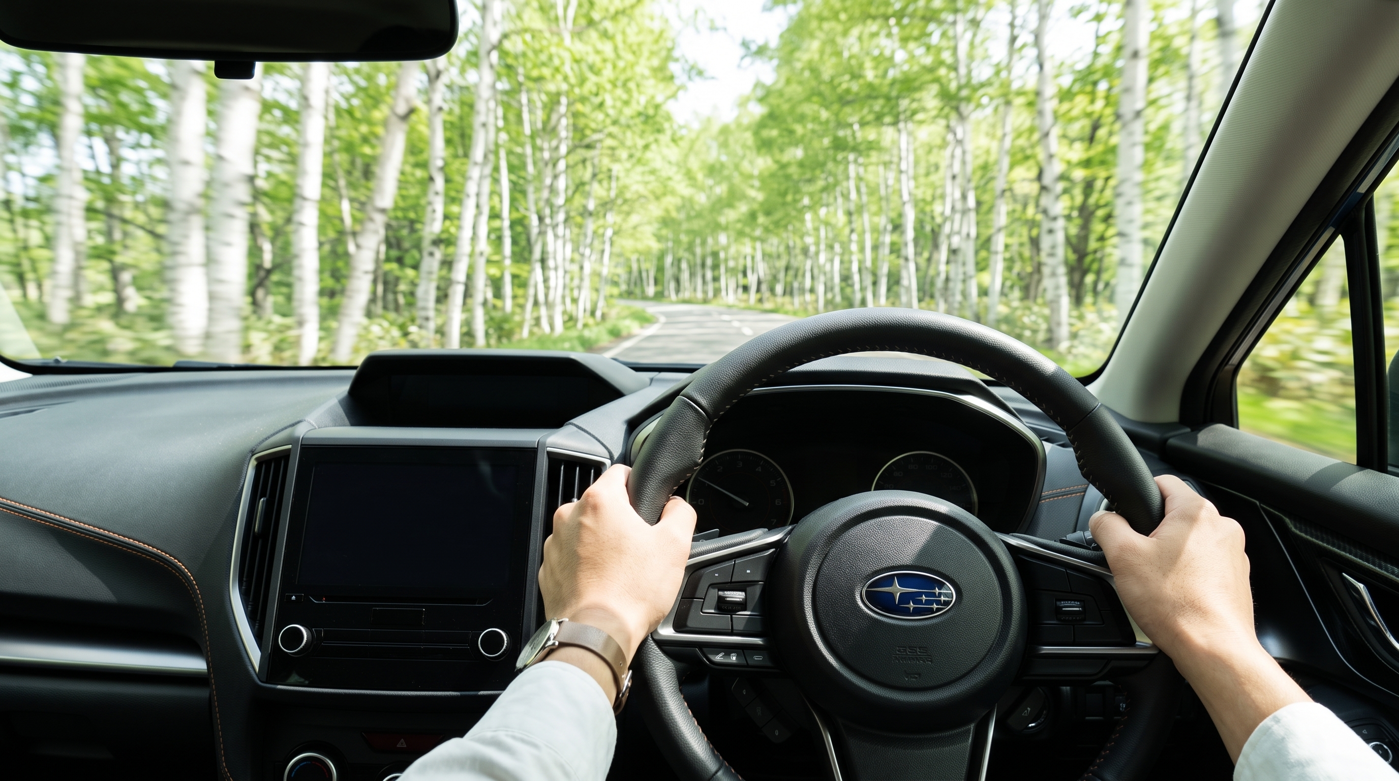 初夏に車の試乗を楽しむドライバーの手元のクローズアップ。ステアリングを握る両手や車窓に流れる新緑の白樺並木を捉えた、心地よいドライビング気分が伝わる車内シーン。