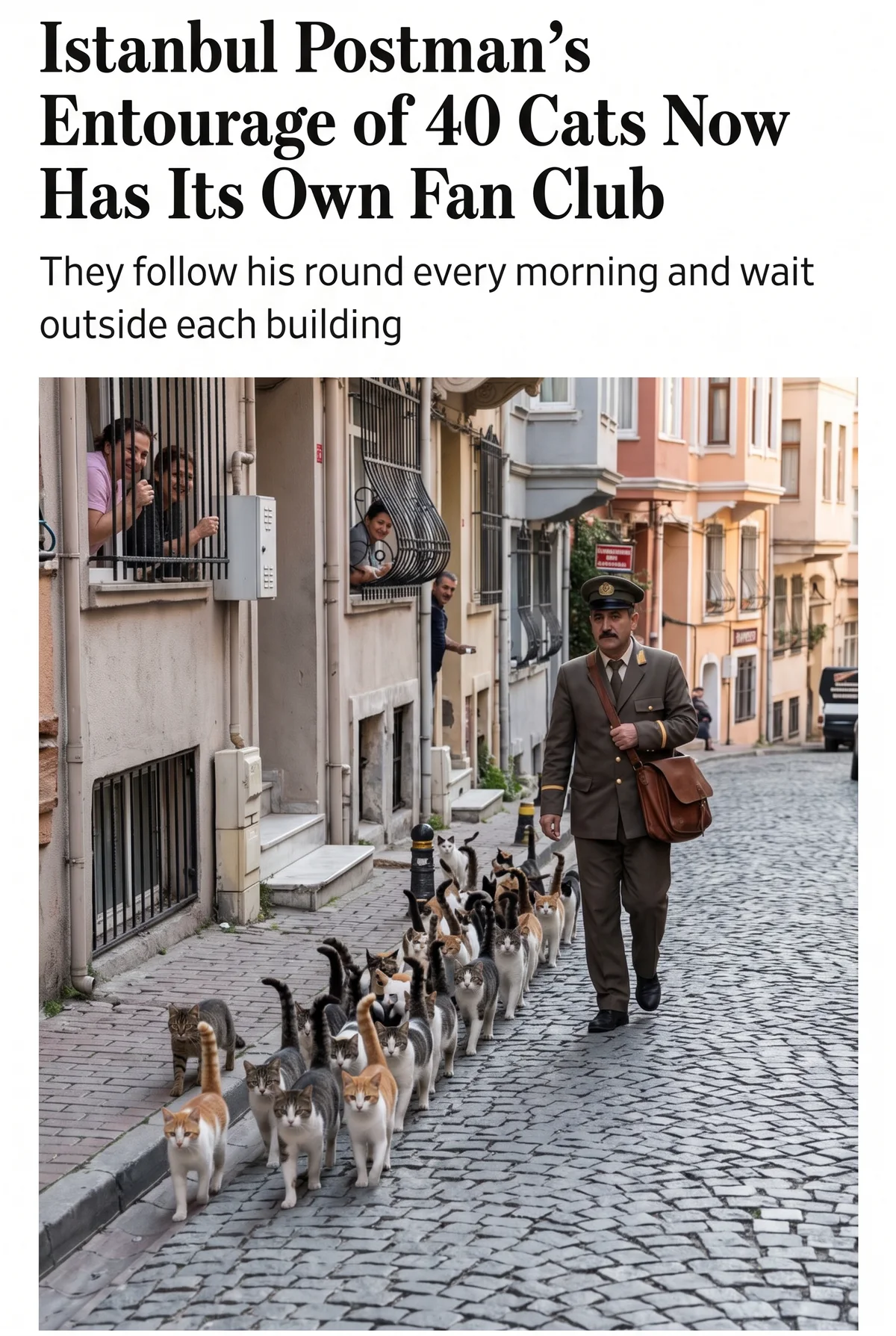 Istanbul Postman's Entourage of 40 Cats Now Has Its Own Fan Club