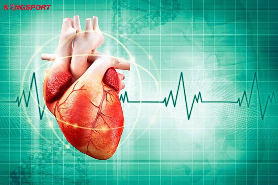 nhịp tim và huyết áp bao nhiêu là bình thường