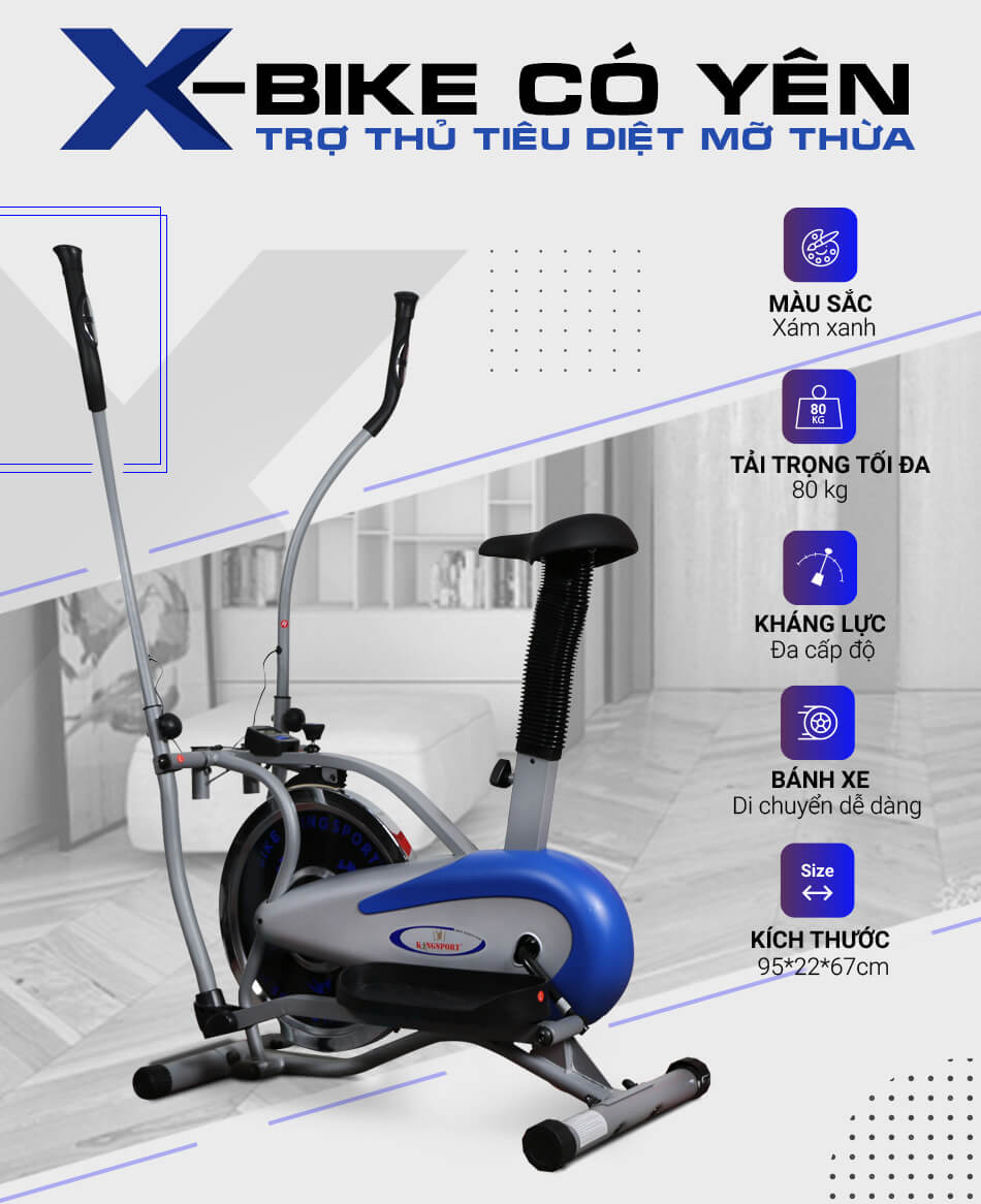 Xe đạp tập Kingsport X-BIKE có yên tại Thái Bình