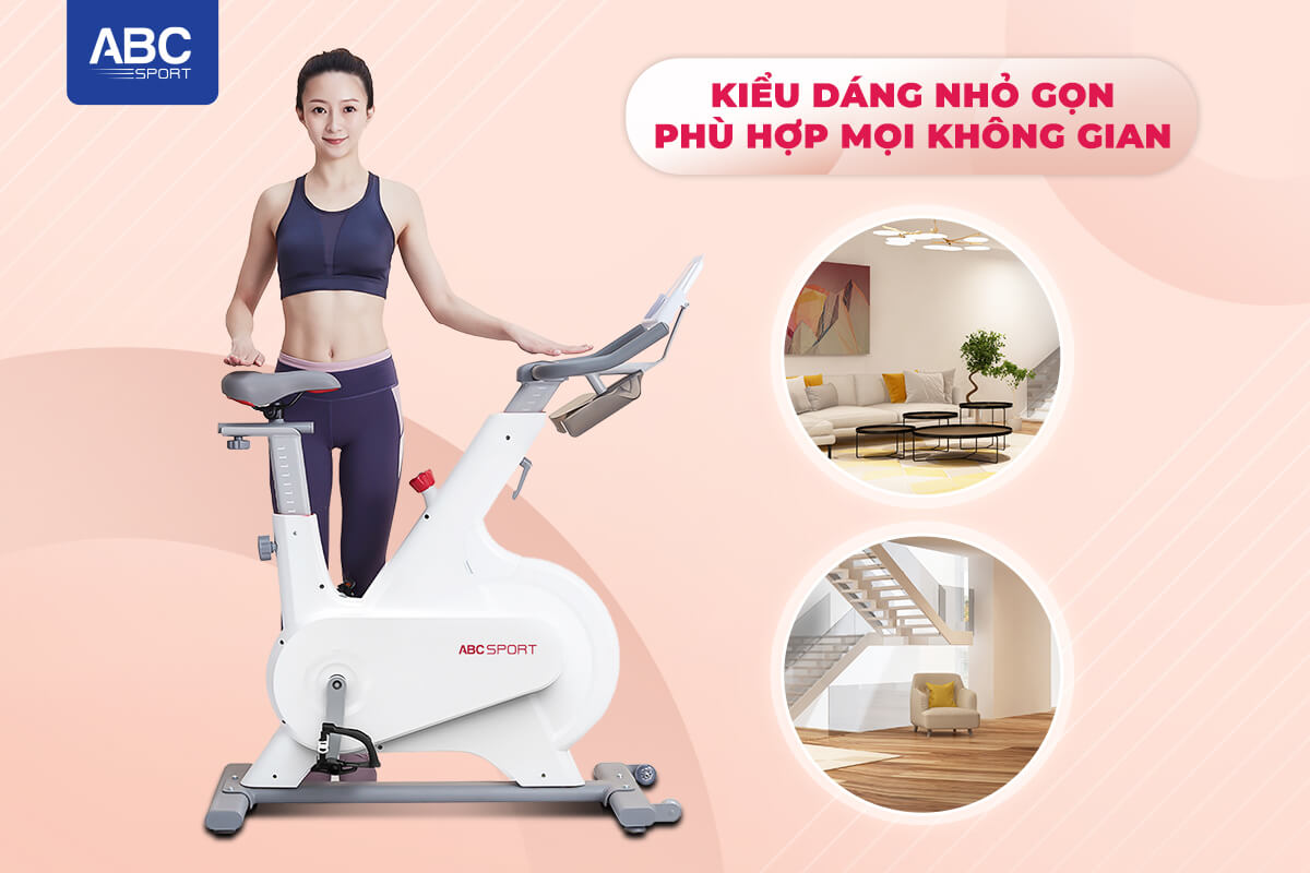 Xe đạp tập thể dục giá rẻ 