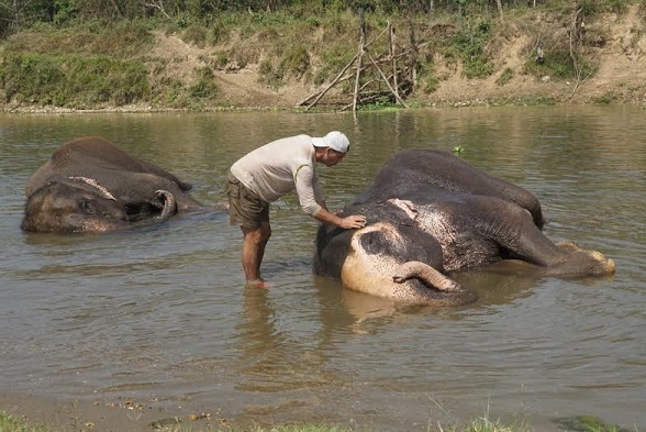 Wild Frank adventure in India Wild Frank adventure in India