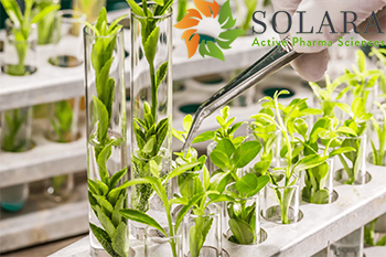 Solara Active Pharma