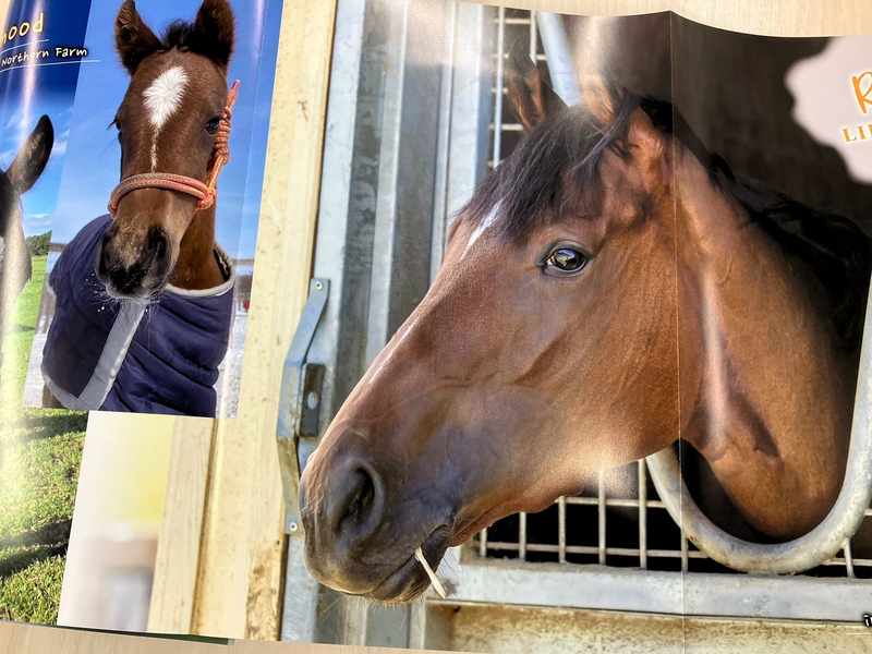 リバティアイランド2