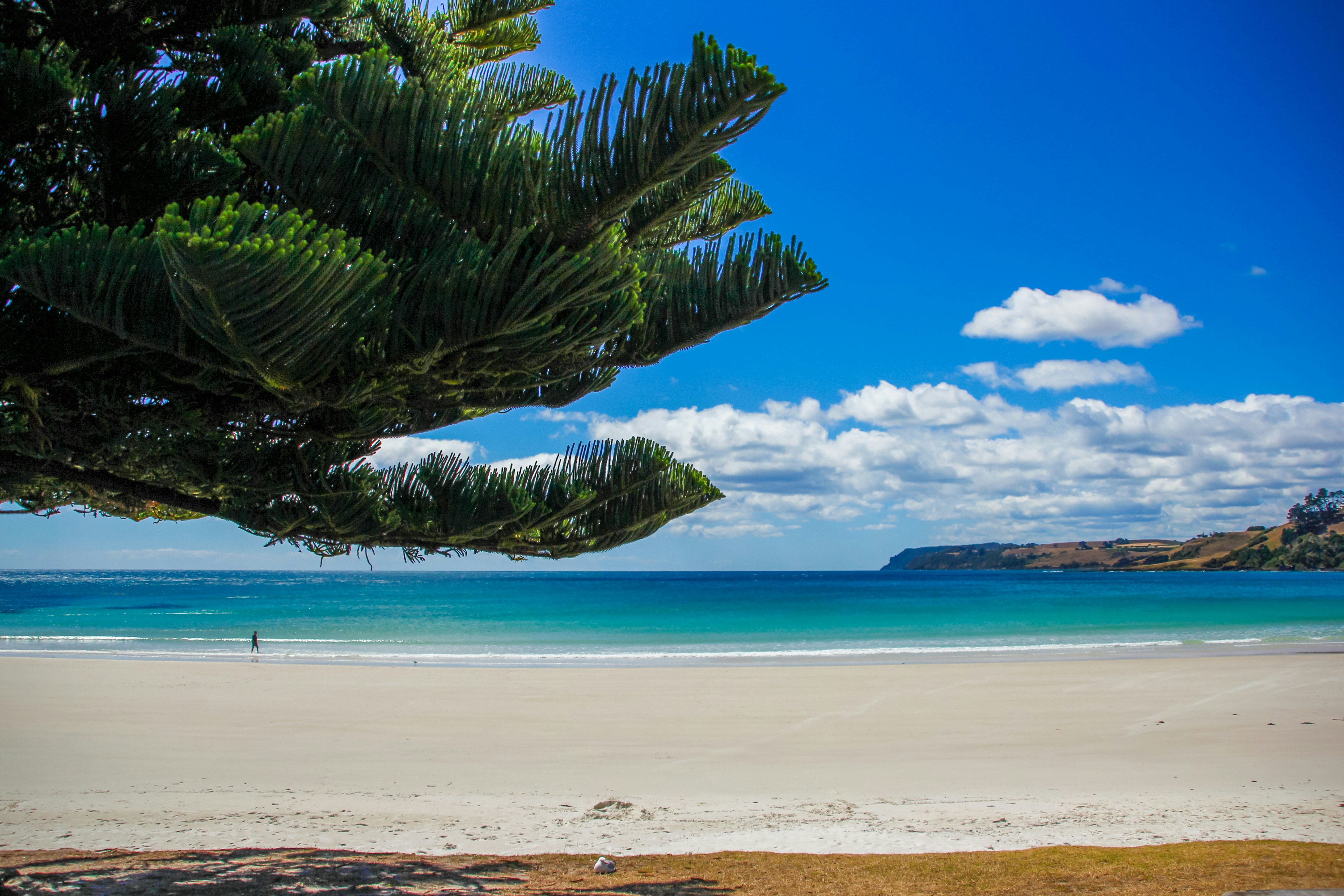 Wineglass Bay - Playa Detallada | CLEACH | Cleach