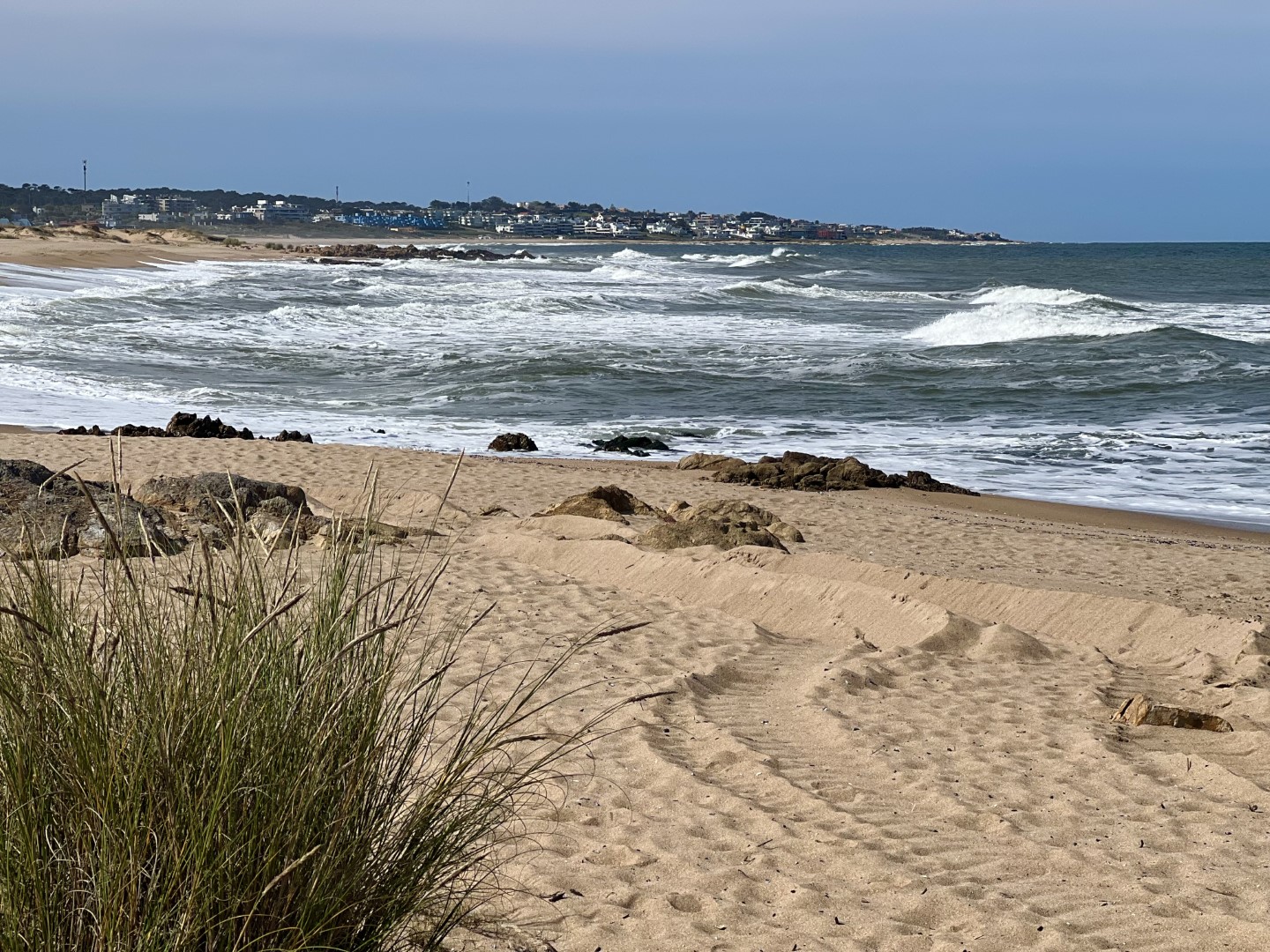 Montoya - Playa Detallada | CLEACH | Cleach