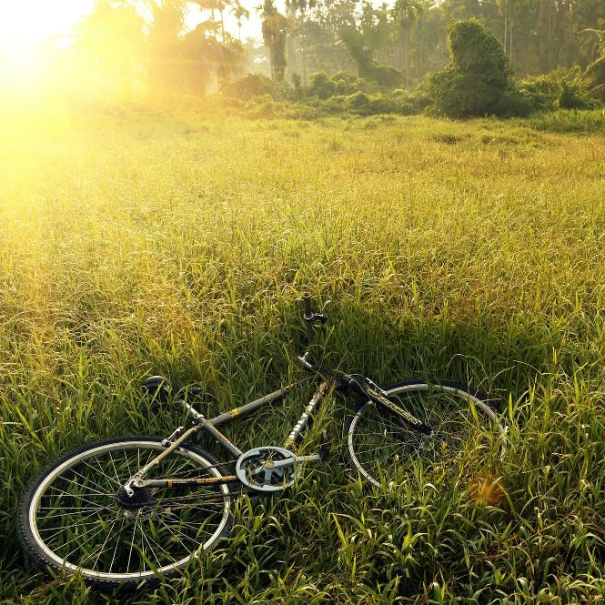 tagesausflug mit dem fahrrad