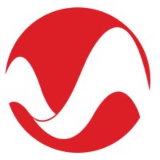 Momentum Meeting Expert logo