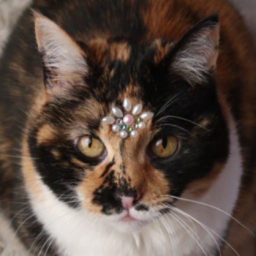 Nébula Tarot Cat logo