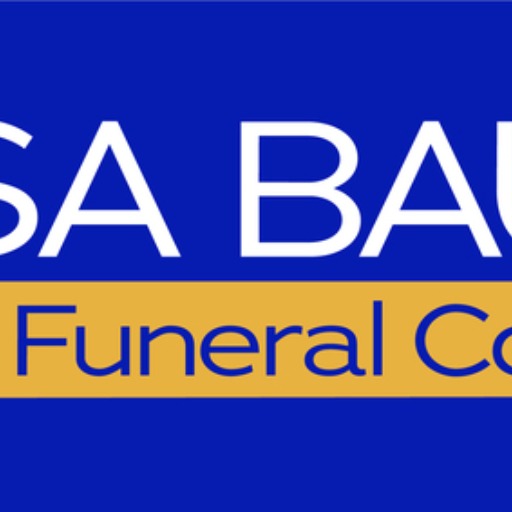 Lisa Baue Chat logo