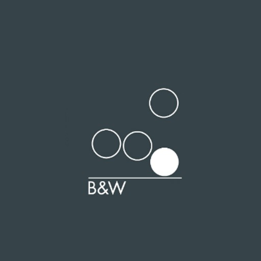B&W Marketing Assistent logo