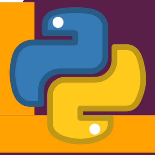 Senior Python Developer logo