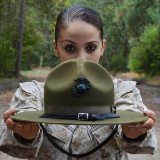 DrillSergeantGPT logo