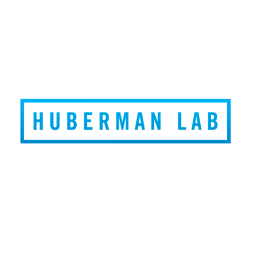 Huberman 30d Fitness challenge logo