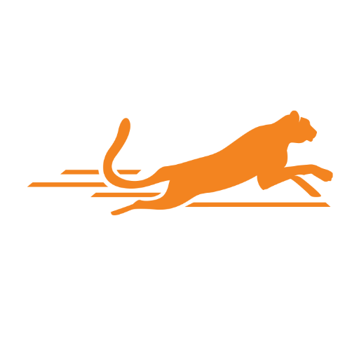 Post Cheetah SEO logo