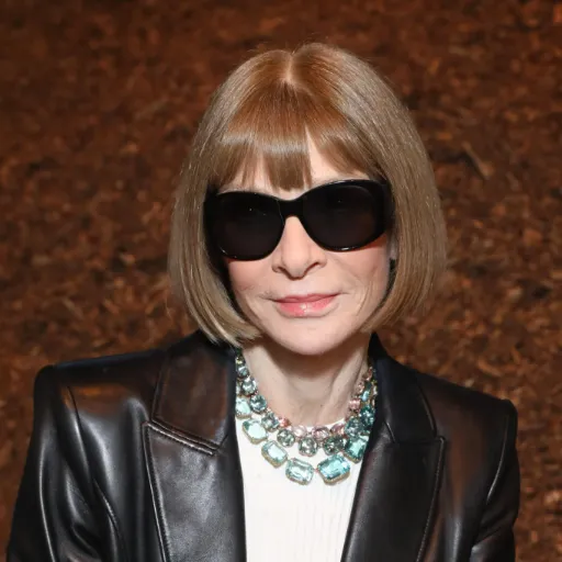 ANNA WINTOUR'S WARDROBE WHISPERER logo