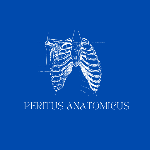 Peritus Anatomicus - An Expert Anatomist. logo