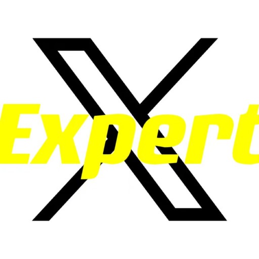 X Expert logo