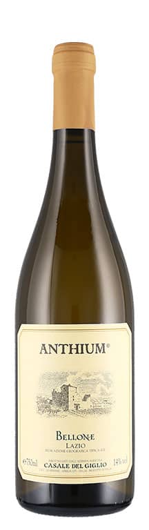 Lazio IGT Bellone Anthium 2019