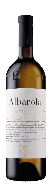 Colli di Luni Albarola DOC 2019
