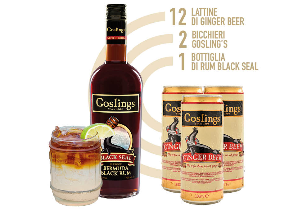 Cocktail Kit Dark 'n' Stormy