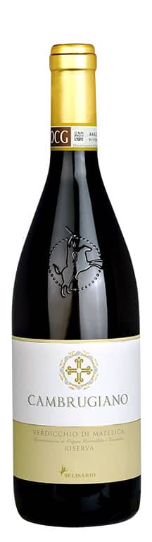 Verdicchio di Matelica Riserva DOCG Cambrugiano 2017