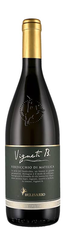 Verdicchio di Matelica DOC Vigneti B. 2019
