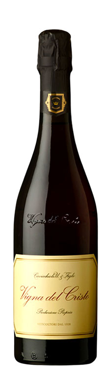 Lambrusco di Sorbara DOC Vigna del Cristo 2020